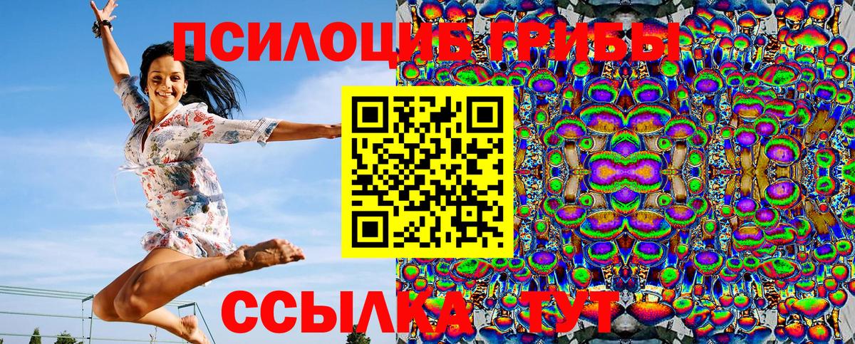 Псилоцибиновые грибы Cubensis Когалым