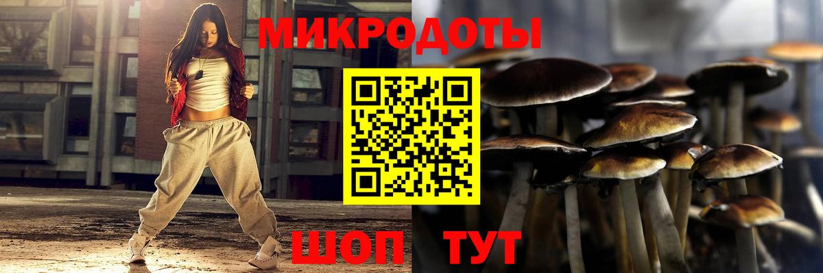 Когалым  Галлюциногенные грибы мицелий  Вход с VPN 